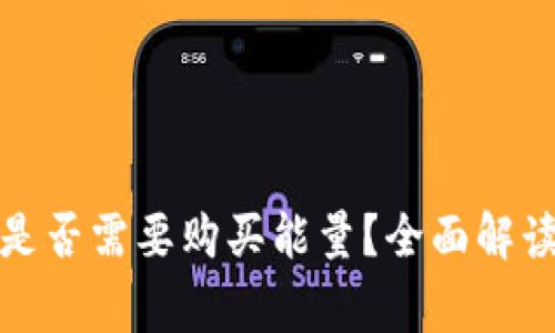 冷钱包提币是否需要购买能量？全面解读与常见问题