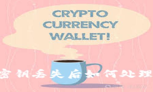 冷钱包的密钥丢失后如何处理：全面指南