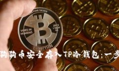 如何将狗狗币安全存入T