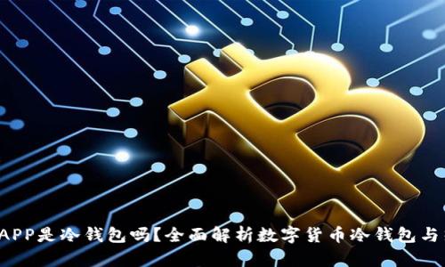  下载的钱包APP是冷钱包吗？全面解析数字货币冷钱包与热钱包的区别