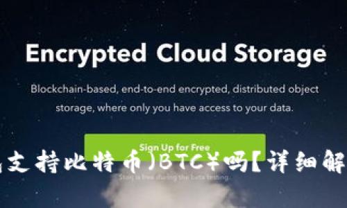 Token.im钱包支持比特币（BTC）吗？详细解析与使用指南