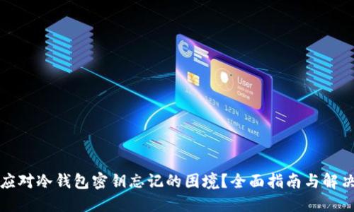 如何应对冷钱包密钥忘记的困境？全面指南与解决方案