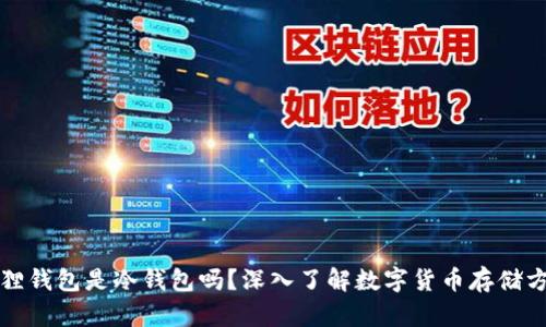 狐狸钱包是冷钱包吗？深入了解数字货币存储方式