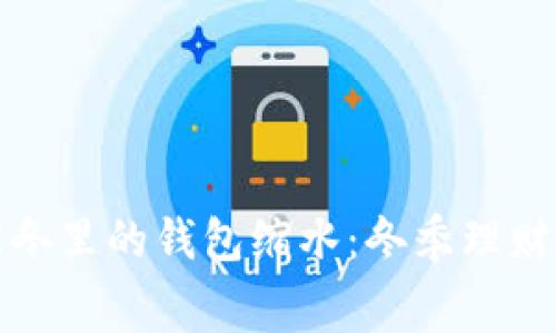 如何应对寒冬里的钱包缩水：冬季理财与消费智慧