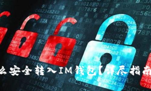  SHIB币怎么安全转入IM钱包？详尽指南及注意事项