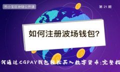 如何通过CGPAY钱包轻松买入