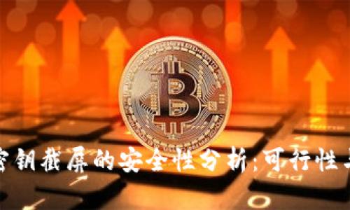 : 冷钱包密钥截屏的安全性分析：可行性与风险详解