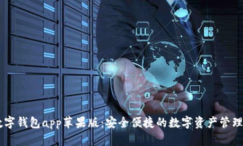 IM数字钱包app苹果版：安全便捷的数字资产管理工具