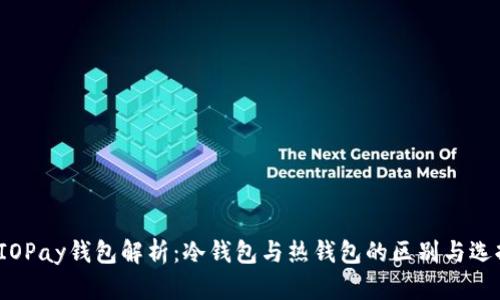  IOPay钱包解析：冷钱包与热钱包的区别与选择