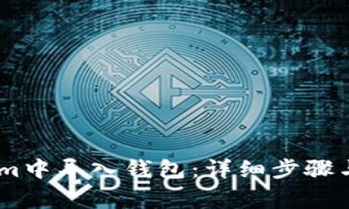 如何在Token.im中导入钱包：详细步骤与常见问题解答
