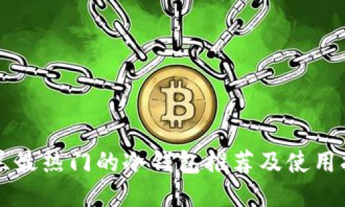 荷兰最热门的冷钱包推荐及使用指南