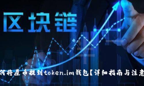 : 如何将屎币提到token.im钱包？详细指南与注意事项