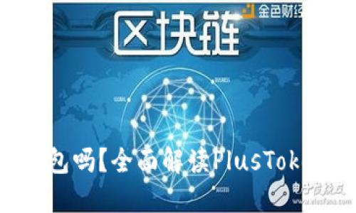 PlusToken是冷钱包吗？全面解读PlusToken的性质与安全性