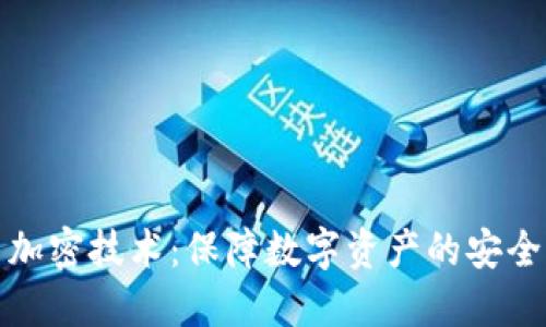 冷钱包芯片加密技术：保障数字资产的安全性与隐私性