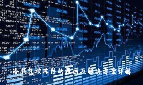 冷钱包被冻结的原因及解决方案详解