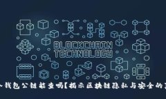: 冷钱包公链能查吗？揭示区块链隐私与安全的真