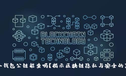 : 冷钱包公链能查吗？揭示区块链隐私与安全的真相