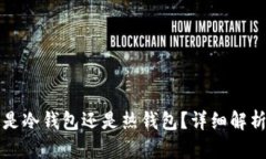 比特派钱包是冷钱包还是热钱包？详细解析与选