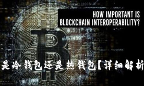 比特派钱包是冷钱包还是热钱包？详细解析与选择指南