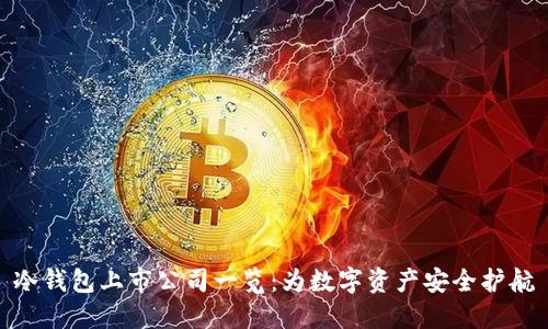 冷钱包上市公司一览：为数字资产安全护航