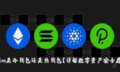 Token.im是冷钱包还是热钱包？详解数字资产安全存