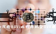 全面指南：如何将BSV（比
