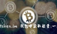 如何在 Token.im 钱包中获取